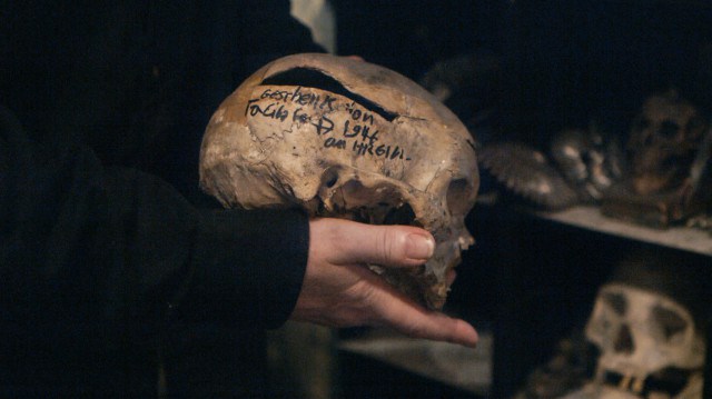 Closeup of the skull.